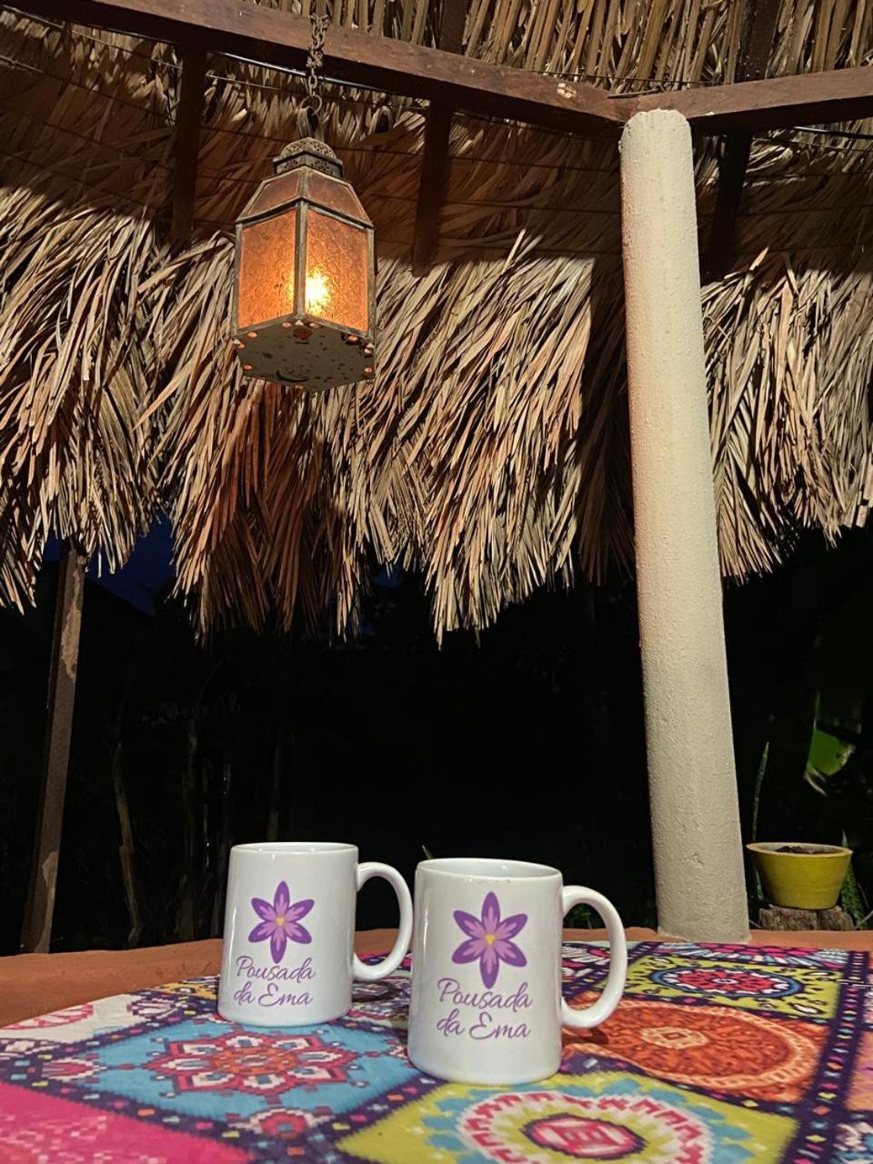 Pousada Canela De Ema Mateiros Exterior foto